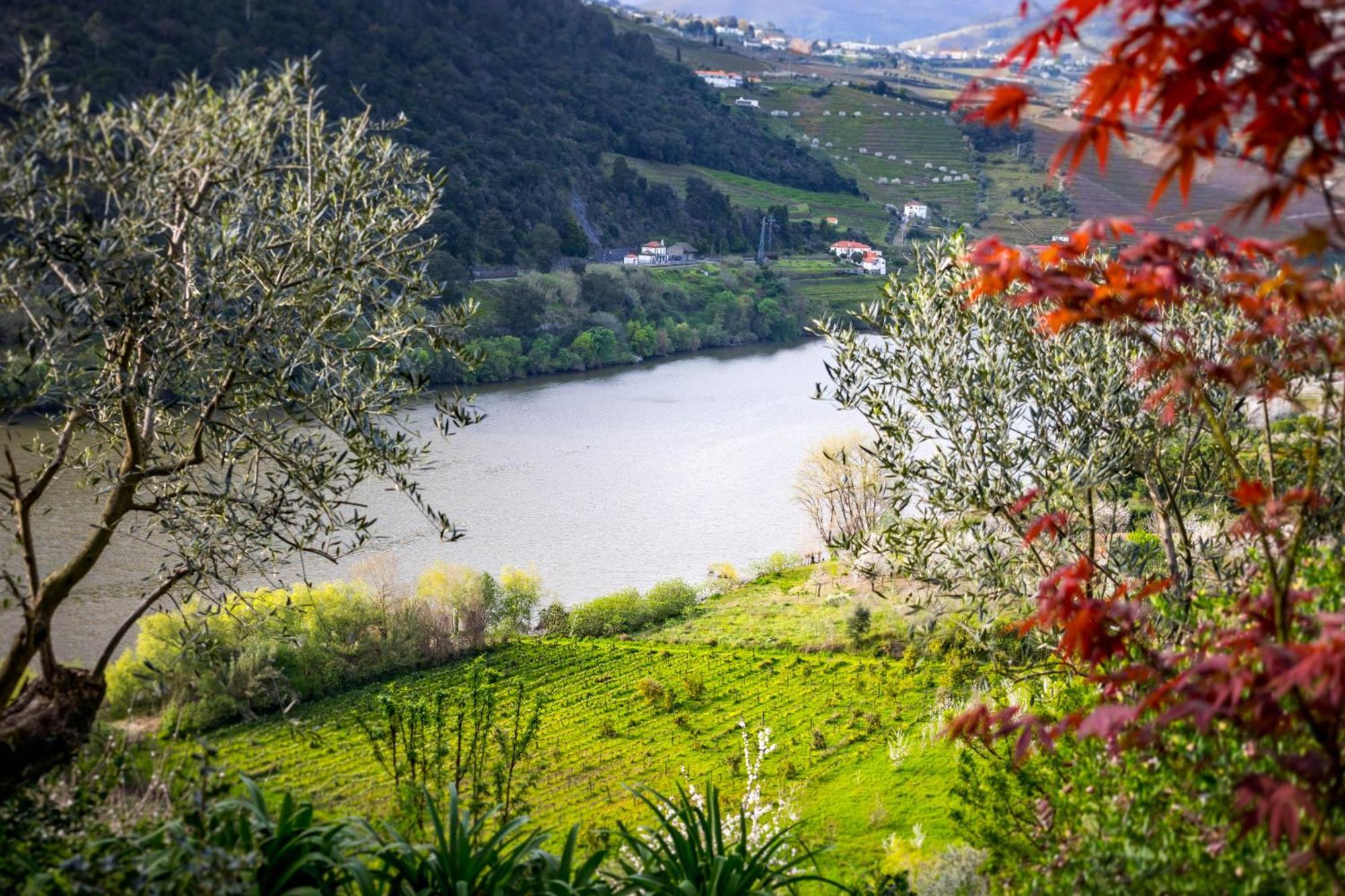 Fraga Douro House, Douro Valley Resende Exteriör bild